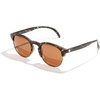 image:imageSunski Avila  Polarized Recycled SunglassesTortoise Amber